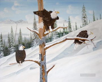  invierno - águilas en aves de invierno